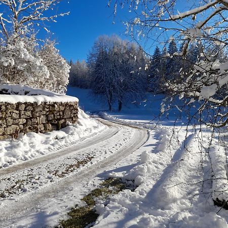 Ch'Tit Jura Bed and Breakfast Les Moussieres Exteriör bild
